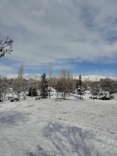 عکس بوستان پلیس