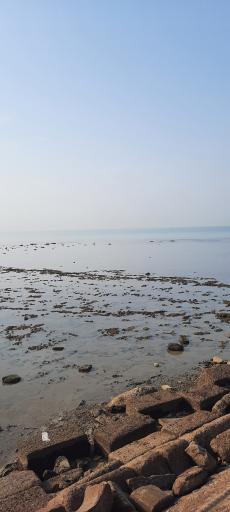 ساحل شغابی