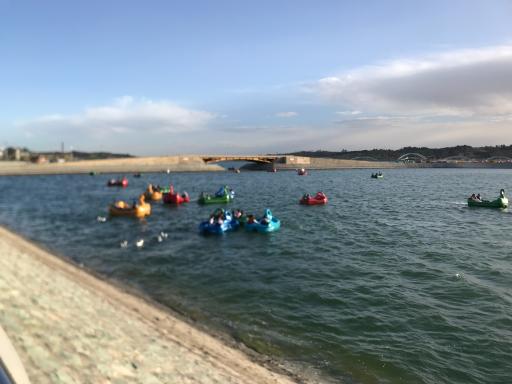 عکس کرایه قایق شرقی دریاچه چیتگر