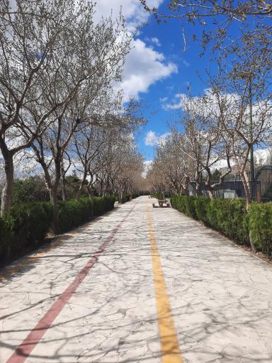 عکس بوستان پلیس