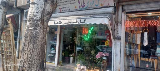 عکس گل فروشی طاها