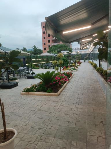 عکس کبابی نارنج