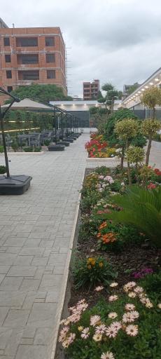 عکس کبابی نارنج