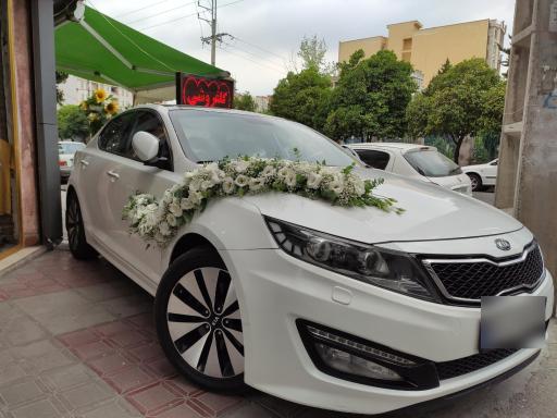 عکس گلفروشی گل عروس