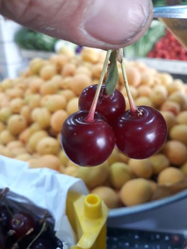 عکس سوپر میوه همشهری