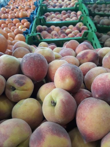 عکس سوپر میوه همشهری