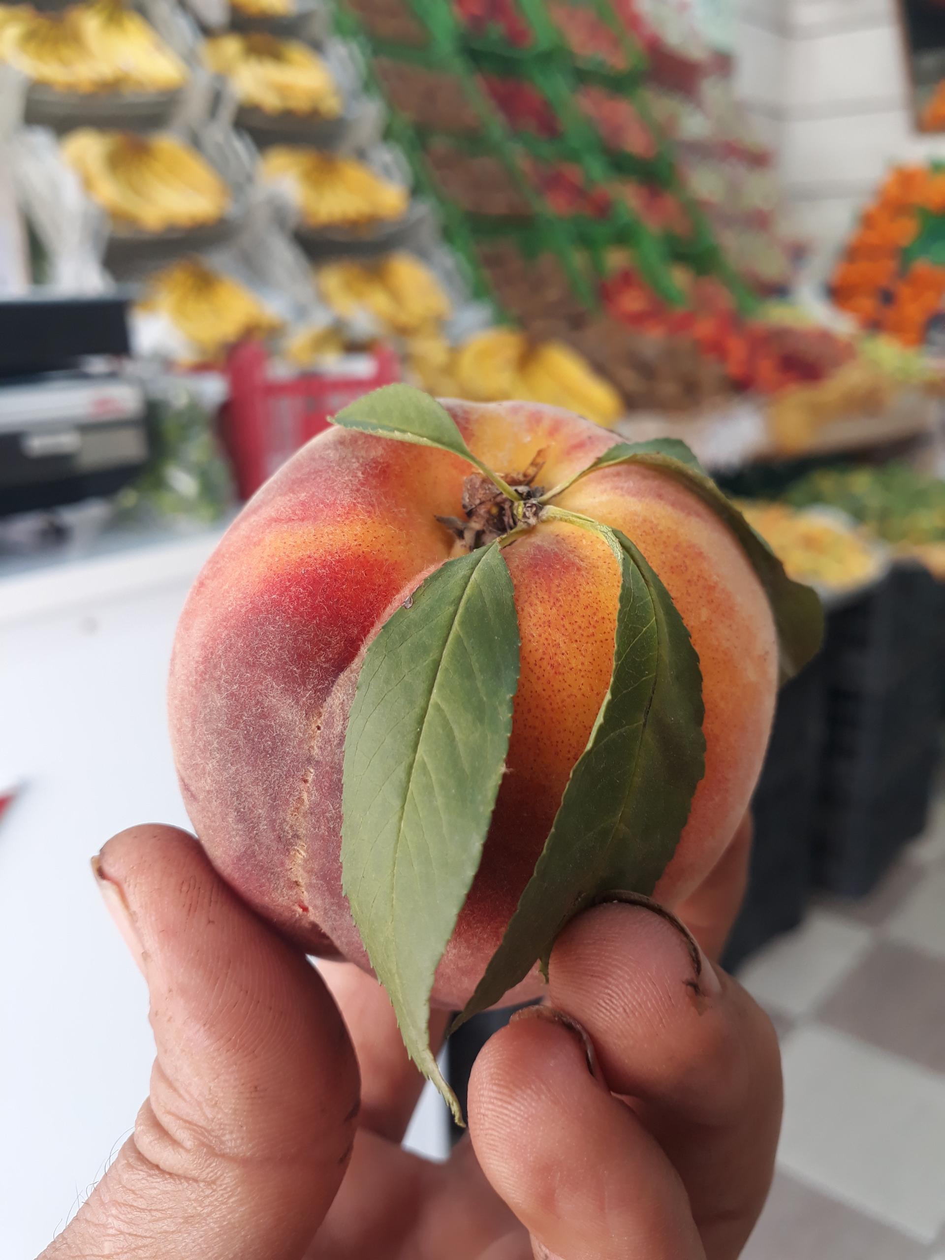 عکس سوپر میوه همشهری