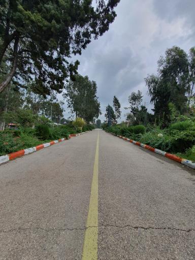 عکس پلاژ بیمه ایران