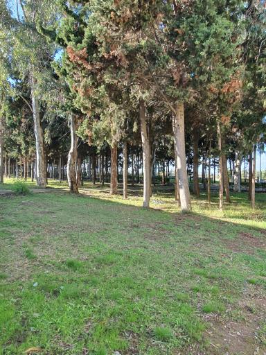 عکس پلاژ بیمه ایران