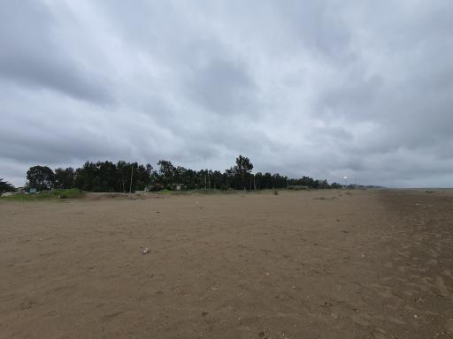 عکس پلاژ بیمه ایران