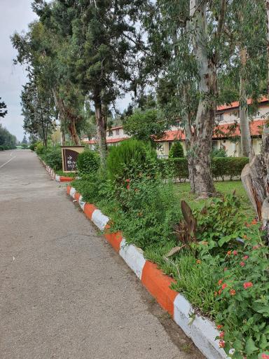 عکس پلاژ بیمه ایران