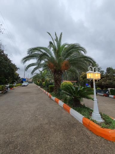 عکس پلاژ بیمه ایران