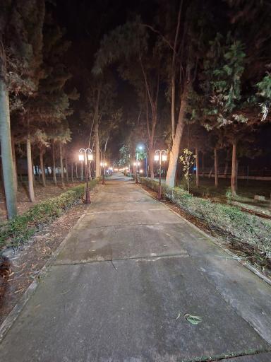 عکس پلاژ بیمه ایران