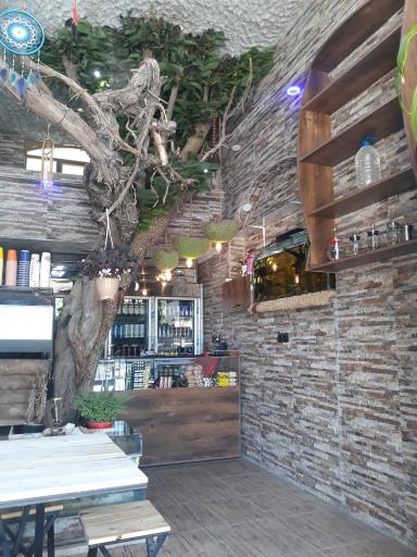 عکس کافه دو درخت