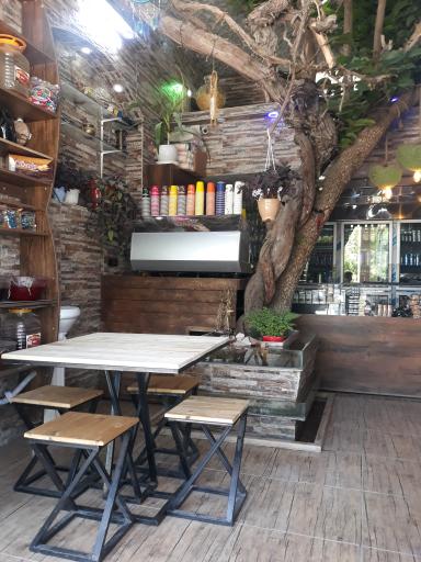 عکس کافه دو درخت