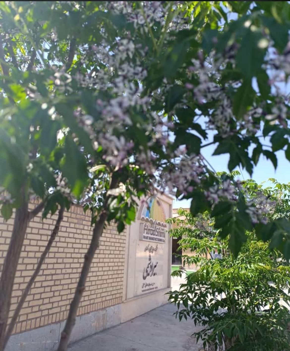 عکس کارخانه هیرادشیمی