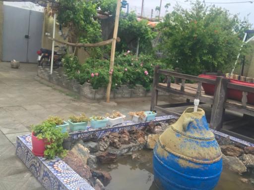 عکس کبابی نادر