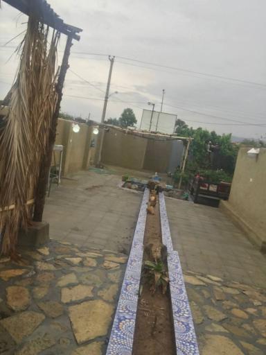 عکس کبابی نادر