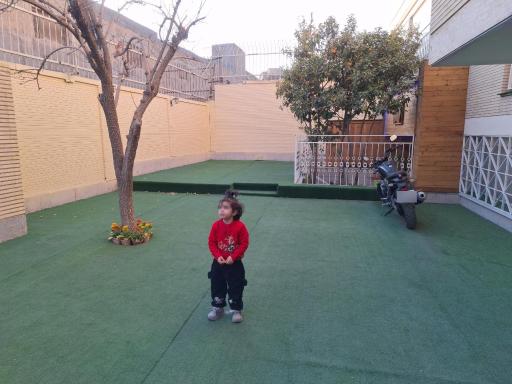 عکس مرکز مشاوره رئوف 