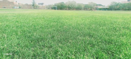 عکس چمن ورزشی مطهری