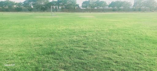 عکس چمن ورزشی مطهری