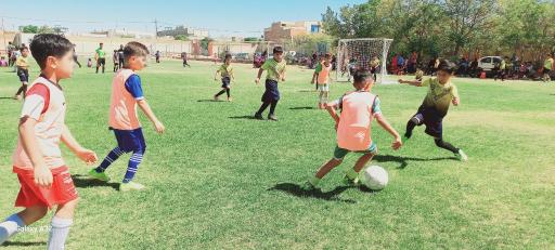 عکس چمن ورزشی مطهری