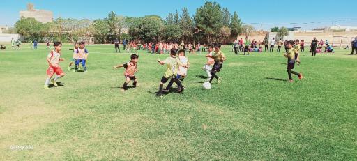 عکس چمن ورزشی مطهری