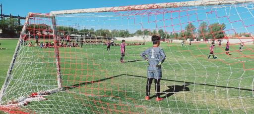 عکس چمن ورزشی مطهری