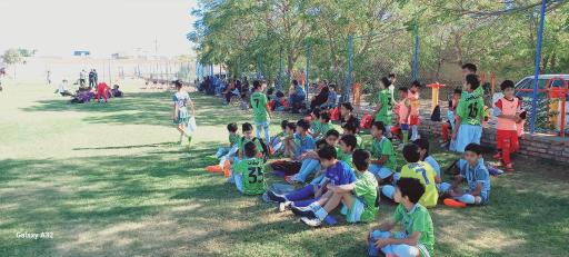 عکس چمن ورزشی مطهری