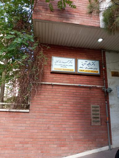 دکتر ملیحه آدینه(متخصص زنان)
