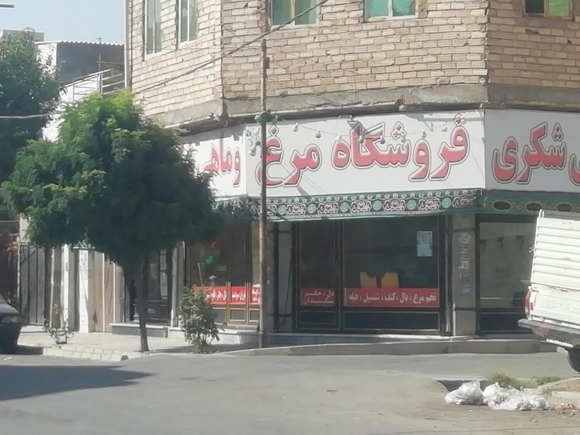 عکس فروشگاه مرغ و ماهی شکری