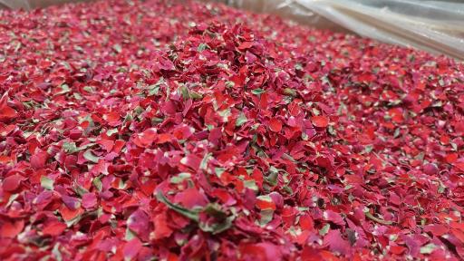 عکس عطاری و دارو گیاهی حاج محمدی