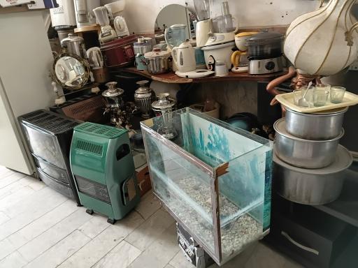 عکس سمساری سهیل 