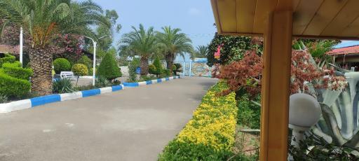عکس پلاژ بیمه ایران