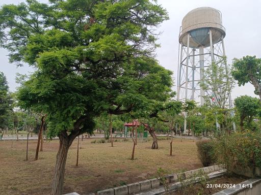 عکس بوستان نرگس