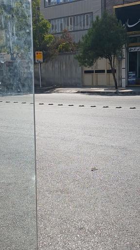 عکس  حسابی 2