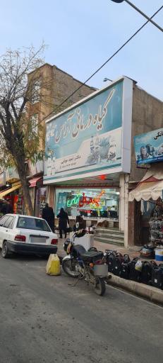 عکس گیاه درمانی آراس