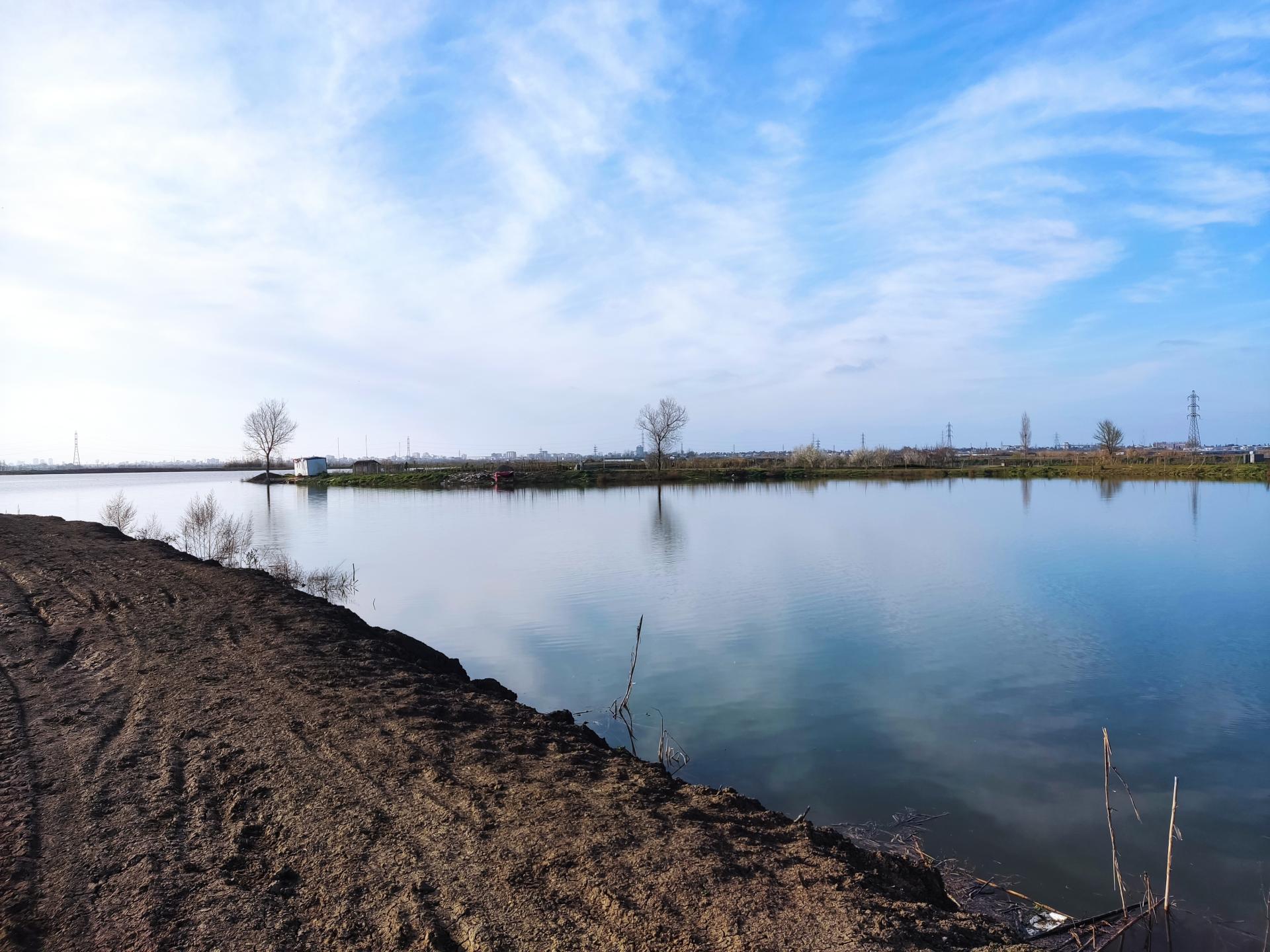 عکس آبندان نیلوفر آبی