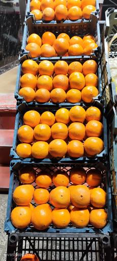 عکس ارزانسرای تره بار ابراهیمی