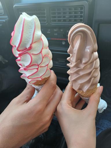 عکس لبنیات شاکر