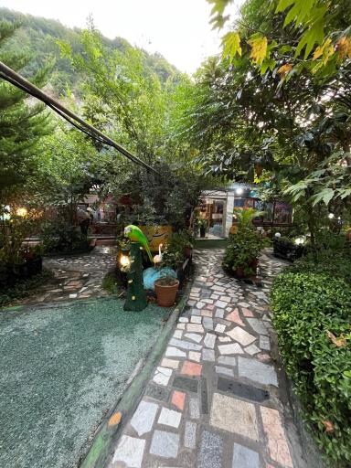 عکس رستوران و استراحتگاه داش کامل