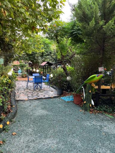 عکس رستوران و استراحتگاه داش کامل