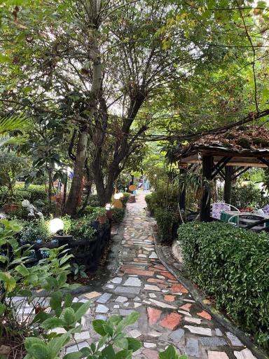 عکس رستوران و استراحتگاه داش کامل