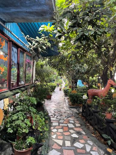 عکس رستوران و استراحتگاه داش کامل