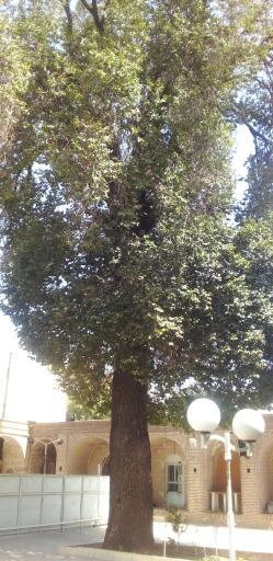 عکس آرامگاه چهار انبیاء (ع)