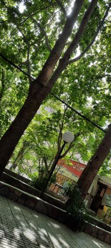 عکس رستوران سرو