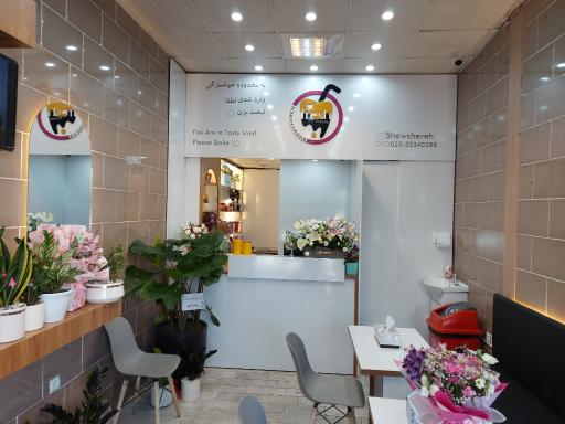 عکس شهر شیر پسته شاوچره