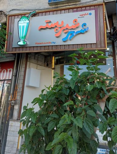 عکس شهر شیر پسته شاوچره