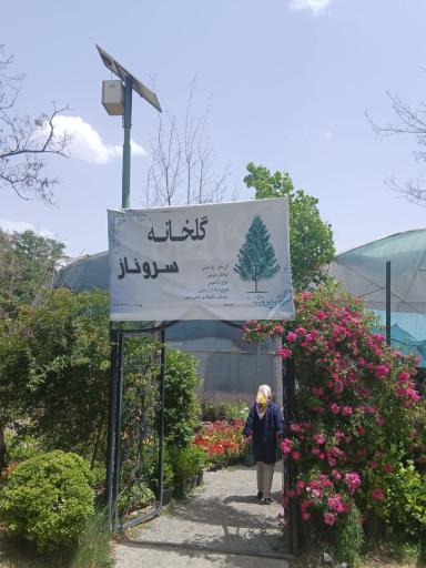 عکس گلخانه سروناز