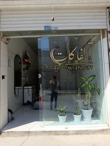 عکس آلفاکات